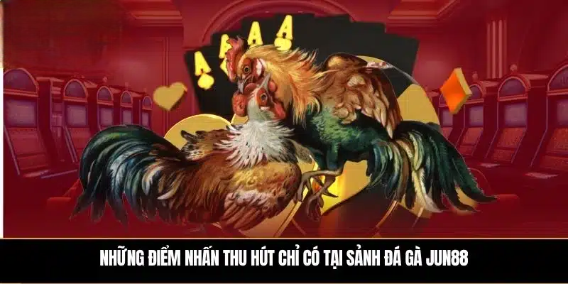 Đá Gà JUN88 – Cá Cược Dành Cho Tín Đồ Mê Đá Gà